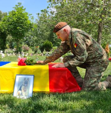 FOTO/ A murit Dino, ciobănescul german al MApN