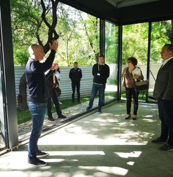 Radu Mihaiu: Terasa din parcul Circului va rămâne ”terasă sezonieră neacoperită”