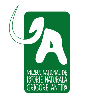 Noaptea Muzeelor 2022. Mii de bucureşteni au luat cu asalt muzeele şi expoziţiile