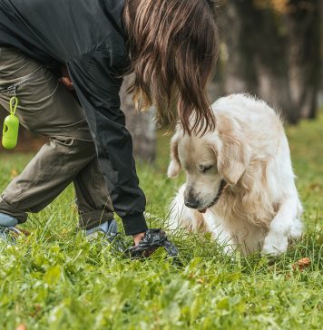 Noile prevederi care dublează sau triplează pedepsele pentru cruzime faţă de animale au intrat în vigoare. Zoofilia, considerată infracţiune