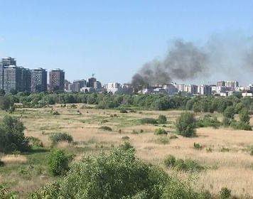 Incendiu în Parcul Natural Văcăreşti, la 500-700 de metri de Splaiul Unirii/ A fost afectată o suprafaţă de 4.000 de metri pătraţi