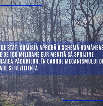 Comisia Europeană a aprobat o schemă de 100 de milioane de euro pentru regenerarea pădurilor din România