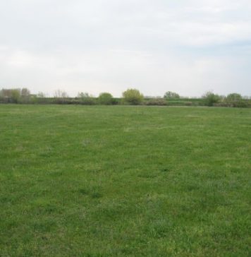 Cu cât se vinde un hectar de teren în România. Cele mai mari preţuri la terenuri arabile – în regiunea Bucureşti și Ilfov