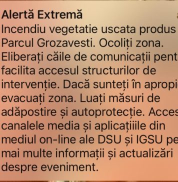 Incendiu de vegetație în Parcul Grozăvești. Autoritățile au emis un mesaj RO-Alert