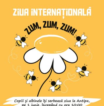 Muzeul „Grigore Antipa” îi invită pe copii la o petrecere în aer liber de ziua lor