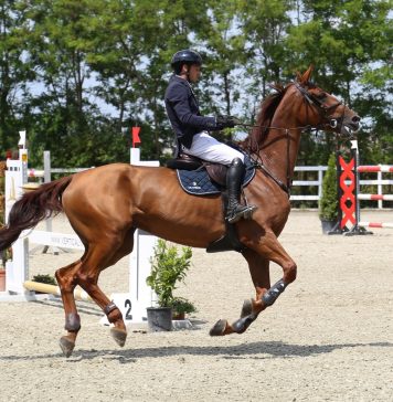 Săptămâna a doua a ”EquiPark Summer Festival” – Marele Premiu Al Județului Ilfov