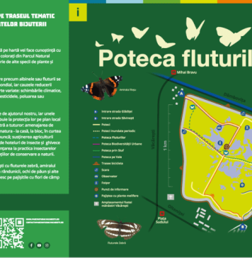 Asociaţia Parcul Natural Văcăreşti lansează „Poteca Fluturilor”, un nou traseu de vizitare