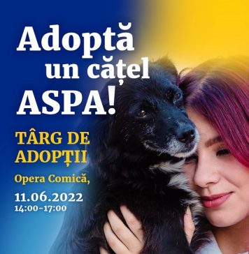 Târg de adopţii de căţei la Opera Comică pentru Copii