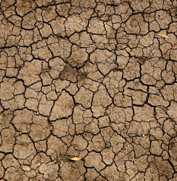 În România, perioada 2012-2021 a fost cea mai călduroasă din istoria măsurătorilor