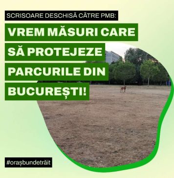 Peste 20 de ONG-uri cer PMB să protejeze parcurile de distrugerile cauzate de festivaluri și concerte