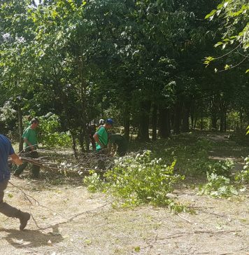 Primăria Capitalei a plătit 50 de milioane de euro pentru Parcul Verdi, dar nu-l poate amenaja