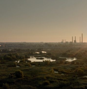 Documentarul ”Delta Bucureştiului”, regia Eva Pervolovici, din 23 septembrie în cinematografe