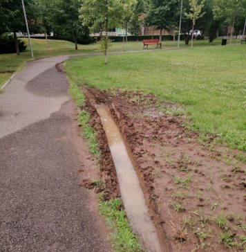 FOTO/ „Dorel” de la Centrul de Protecție a Plantelor a distrus parțial spațiul verde din Parcul Brâncuși