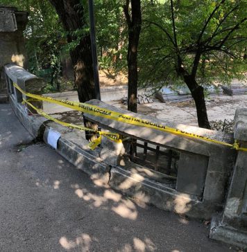 Gabriela Firea susține că Parcul Cișmigiu a ajuns ”o rușine” din vina lui Nicușor Dan: ”Nici măcar ciorile din parc nu a terminat să le numere” – FOTO