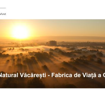 Asociaţia Parcul Natural Văcăreşti anunţă lansarea proiectului Parcul Natural Văcăreşti – Fabrica de Viaţă a Oraşului