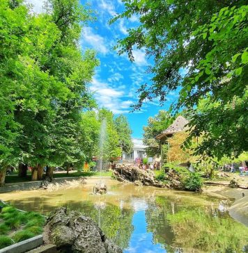 Bucureștenii stau cel mai rău la spațiul verde pe cap de locuitor. Care sunt cele mai verzi orașe din România