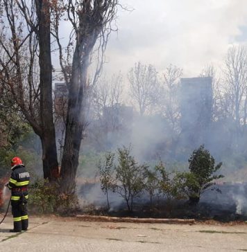 Incendiu puternic în Parcul IOR din București – FOTO