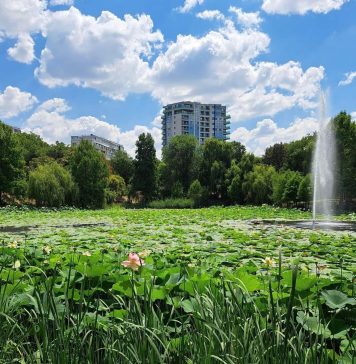 Primăria Capitalei va realiza un puț de mare adâncime în Parcul Circului