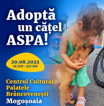Târg de adopții ASPA la Palatul Mogoșoaia