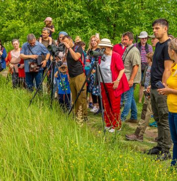Nicuşor Dan îi invită pe bucureşteni la tururi ornitologice ghidate în Parcul Văcăreşti. Primăria a tăiat ambrozia – FOTO