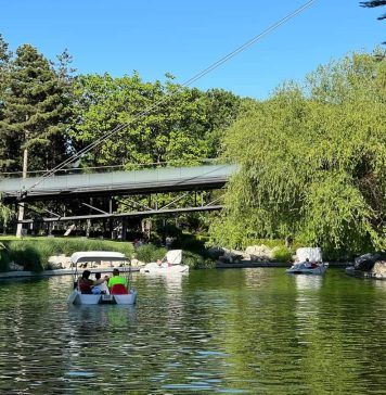 Sectorul 6: Lacul din Parcul Drumul Taberei se va transforma în cinematograf pe apă – FOTO