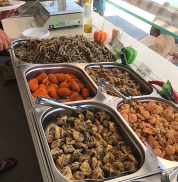 Mizerie și alimente care puteau pune în pericol sănătatea copiilor, găsite în mai multe tabere și grădinițe