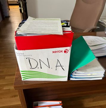 Clotilde Armand anunţă că a sesizat DNA în legătură cu licitaţii supraevaluate făcute de fosta administraţie