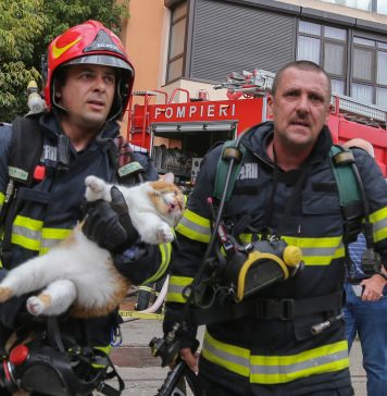 Ziua Porţilor Deschise în subunităţile de pompieri din Bucureşti şi Ilfov
