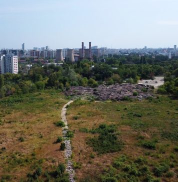 Presiune colectivă pentru salvarea Parcului Grozăvești. Mii de bucureșteni și zeci de ONG-uri se implică