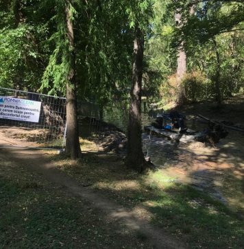 Nicuşor Dan: Intervenim în parcurile din Capitală pentru a ne bucura de spaţii verzi curate şi îngrijite – FOTO