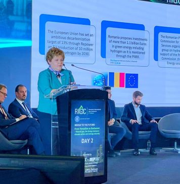 Oana Ozmen (PNL), la reuniunea ministerială a miniștrilor Energiei din regiune: În prezent se lucrează la emiterea primului proiect legislativ dedicat hidrogenului