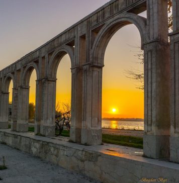În amonte de Lacul Morii din Capitală, din cauza dejecţiilor deversate, Râul Dâmboviţa a devenit pe unele porţiuni albicios, iar pe altele maroniu