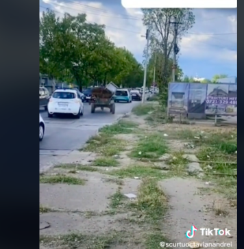 VIDEO/ Momentul în care o căruţă scapă de trei maşini de poliţie care o urmăreau, în Bucureşti