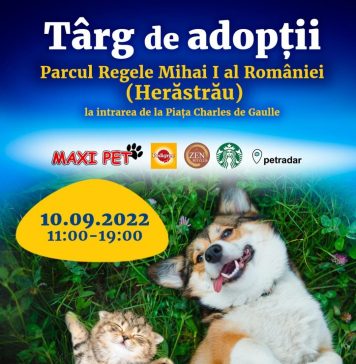 Un nou târg de adopții în Parcul Herăstrău