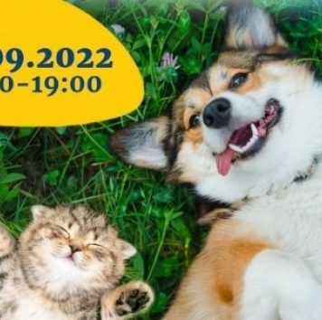 40 de câini și 20 de pisici își caută stăpân la Târgul de adopții din parcul bucureștean Herăstrău