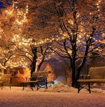 Primarul Băluță le cere oamenilor să decidă dacă vor sau nu luminițe de sărbători în Sectorul 4