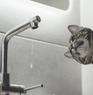 Peste 600 de blocuri din București rămân fără apă caldă. Lista zonelor afectate