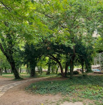 Se redeschide una dintre cele mai vechi sere din București