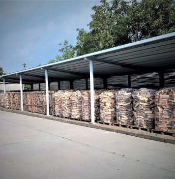 Romsilva majorează volumul de lemn pus pe piață în 2022 și 2023