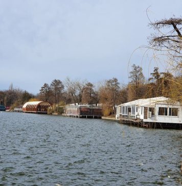 Viceprimarul Capitalei, Horia Tomescu: Am dispus transparentizarea tuturor contractelor ALPAB