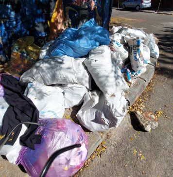 Poliția Locală Sector 2 a dat amenzi în valoare de 1.000 lei pentru depozitarea deșeurilor pe stradă – FOTO