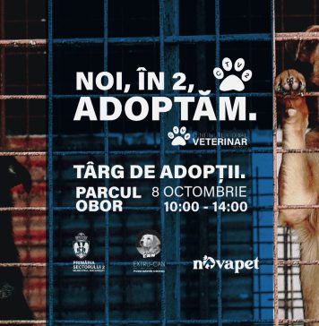 Târg de adopţii de câini şi pisici, sâmbătă, în Parcul Obor