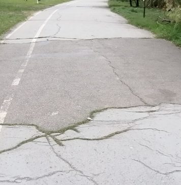 Viceprimar București: A început reabilitarea aleilor pietonale din jurul lacului Tineretului – VIDEO/ FOTO