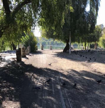 Aleea care înconjoară lacul din Parcul Tineretului intră în reparații – FOTO
