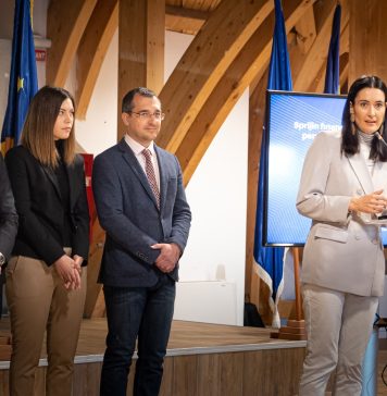 Clotilde Armand: „Consilierii PNL şi PSD au distrus astăzi proiectul Termoficare de la Soare”