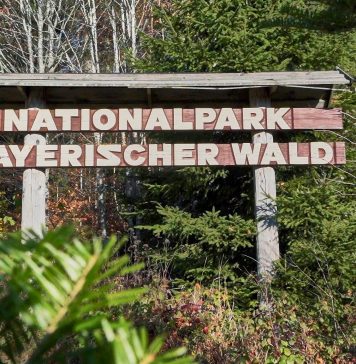 Cel mai mare parc național din Germania susține Fundația Conservation Carpathia