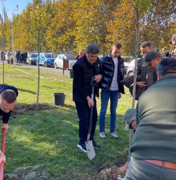 Prefectul Capitalei a lansat campania “Plantează pentru București”/ Toni Greblă îndeamnă primăriile să desfășoare ample acțiuni de plantare – GALERIE FOTO