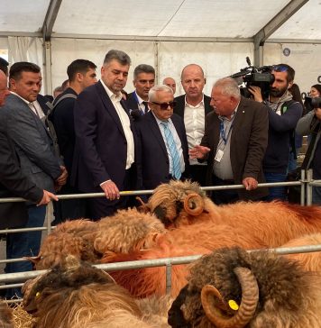 Marcel Ciolacu, la INDAGRA: ”În primele 9 luni ale anului, în conturile fermierilor români au intrat 2,57 miliarde euro” – VIDEO