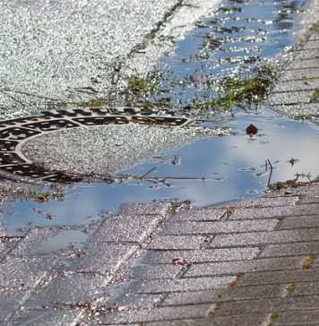 Locuitorii oraşului Popeşti-Leordeni, terorizaţi de mirosuri greu de suportat. Garda de Mediu a înregistrat în doar câteva zile aproape 400 de sesizări