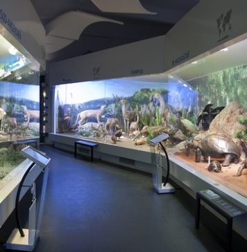 Festival de glume după ce Muzeul Antipa a oferit intrare gratuită românilor cu nume de animale